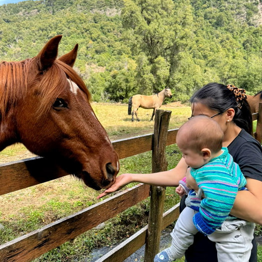 Los Pellines Lodge En el corazón del valle del Río Chillán